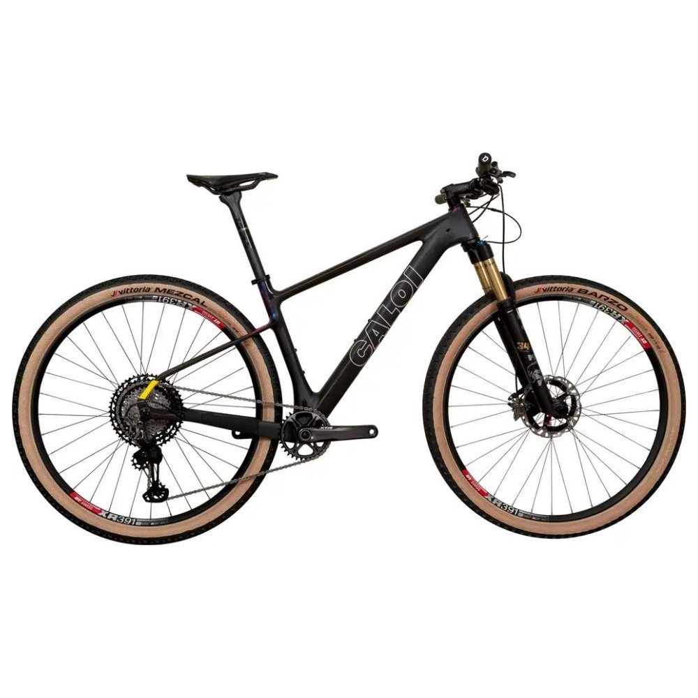 2025 Caloi ELITE CARBON TEAM Mountain Bike - Gun2BikeShop | Online Bike Shop